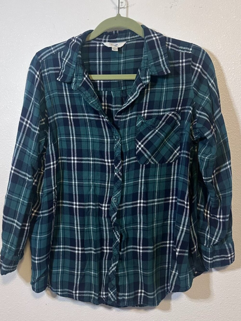 Soft green and navy plaid Terra & Sky button-down shirt
